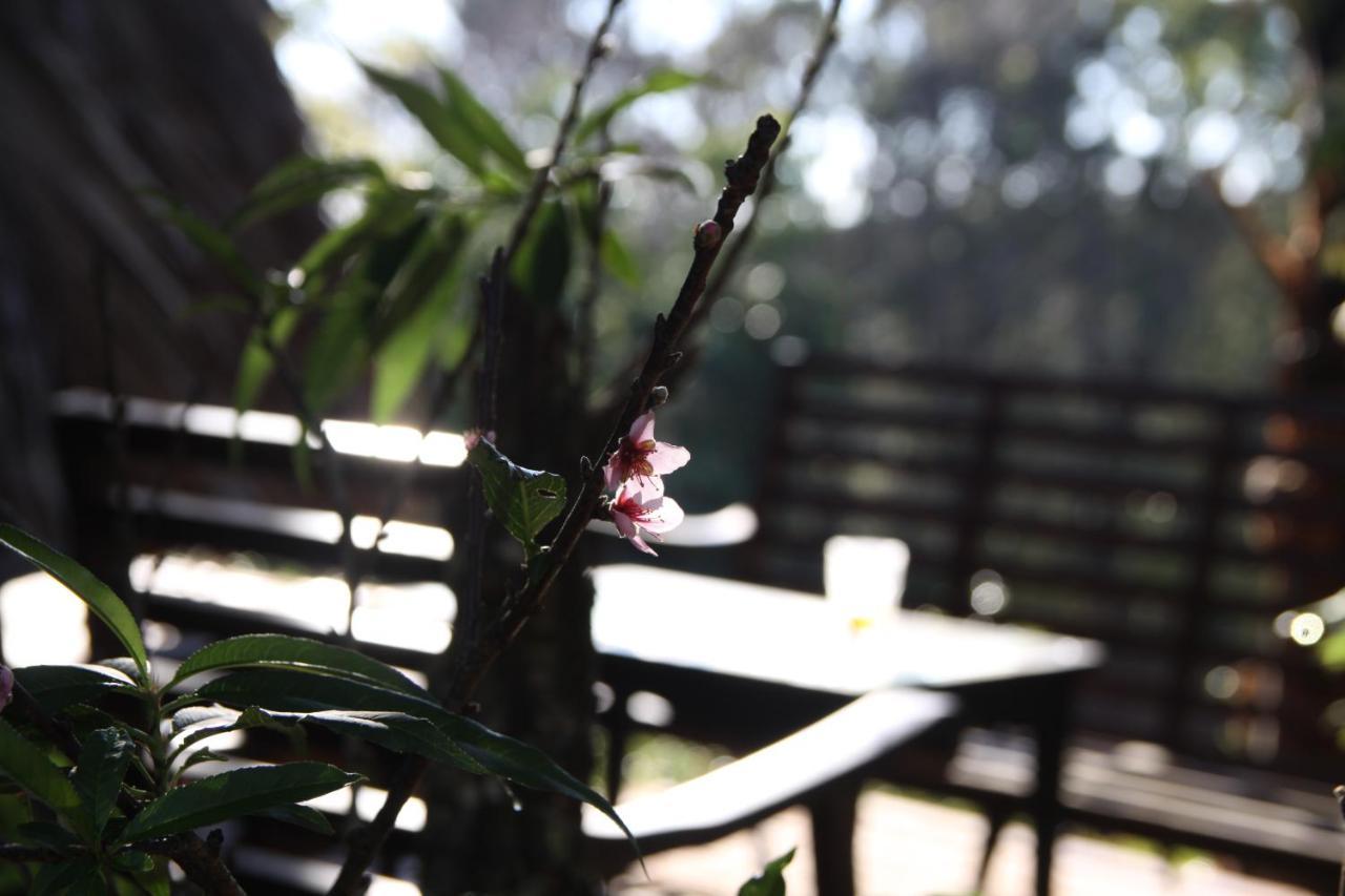 L'Amant Homestay Da Lat Exterior photo